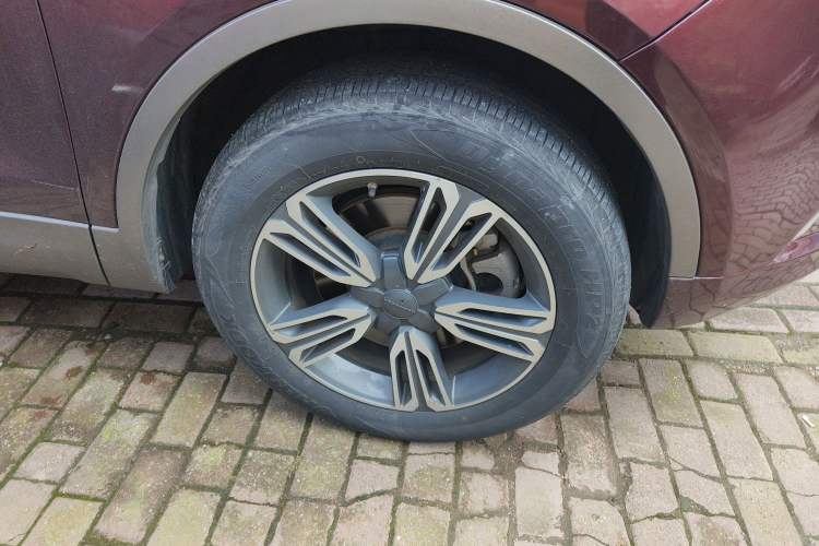 Used Leopaard CS10 2017 2.0T Automatic Luxury Model
