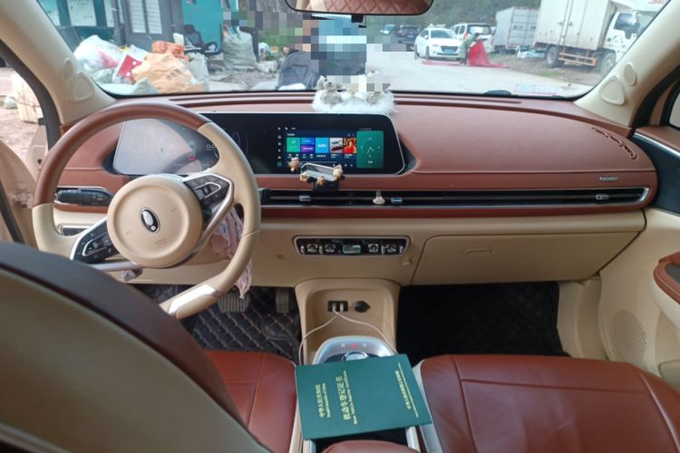 Used ORA Good Cat 2022 Morandi Edition 400km Standard Range Luxury Version Lithium-Ion Battery