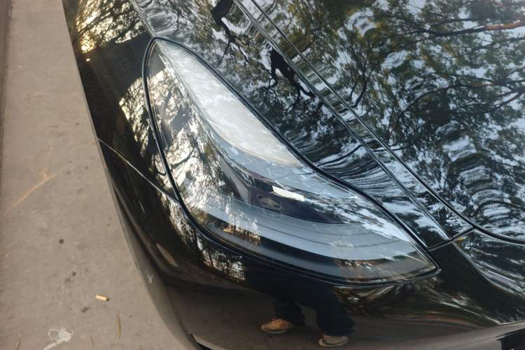 Used Tesla Model Y 2023 High-Performance All-Wheel-Drive Version