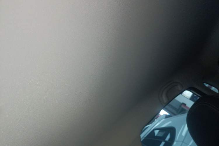 Used NETA V 2021 Standard Range Entertainment Edition