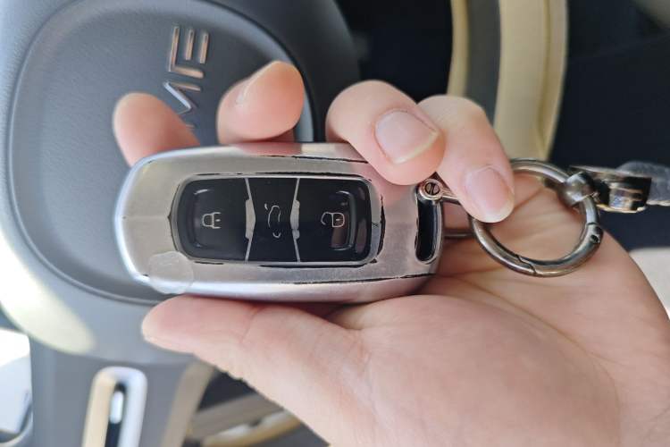 Used Geely Galaxy Panda 2023 Panda Mini 200km Endurance Bear
