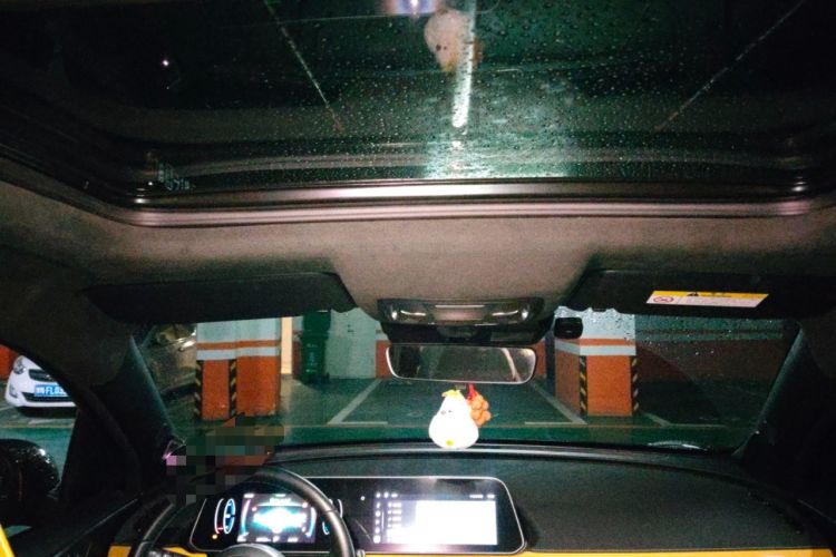 Used ORA Good Cat GT 2024 Mulan Edition 401 km Range Prestige Version 135 kW
