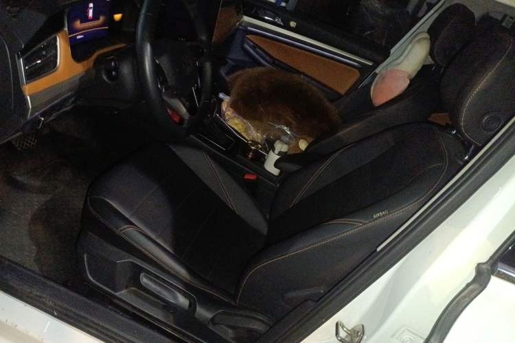 Used Volkswagen Bora 2023 200TSI DSG Enjoyment Edition Left Front Seat