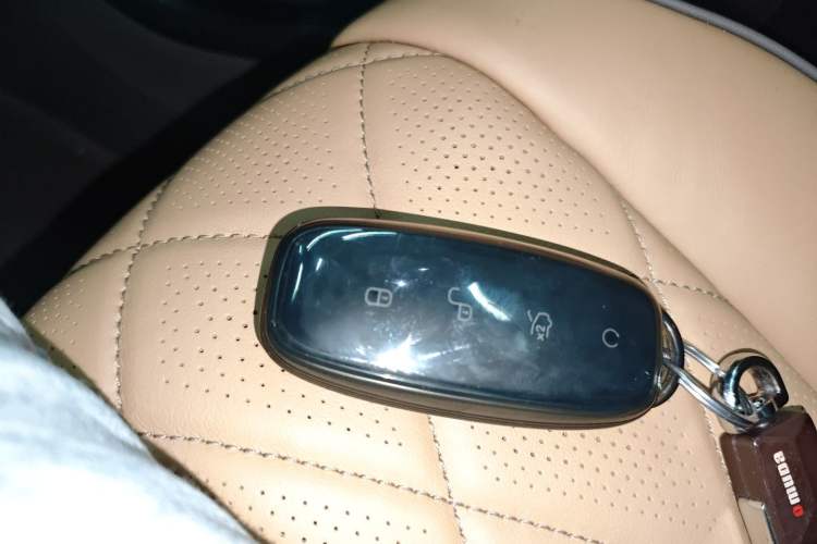 Used Denza D9 2022 DM-i 970 Four-Wheel Drive Flagship Model
