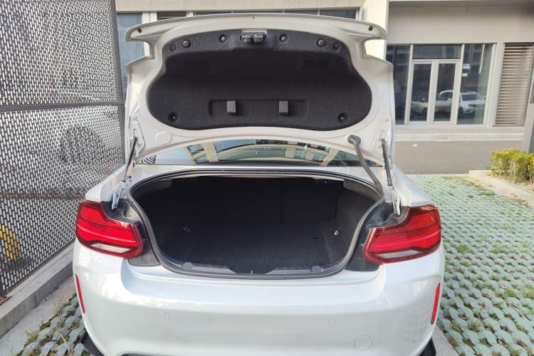 Used BMW M2 2018 M2 Thunder Edition
