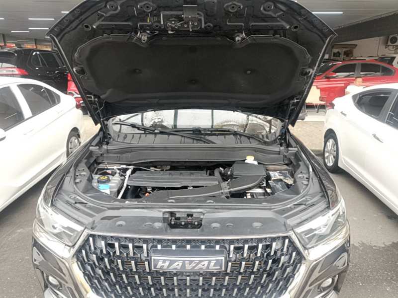 Used Haval H6 2023 National Trend Edition 1.5T Automatic Urban Version — 19
