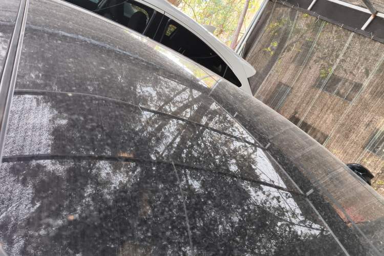 Used Hongqi H9 2020 2.0T Smart Connect Flagship Edition