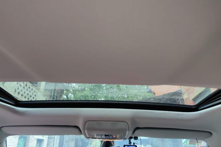 Used BMW X6  Headliner