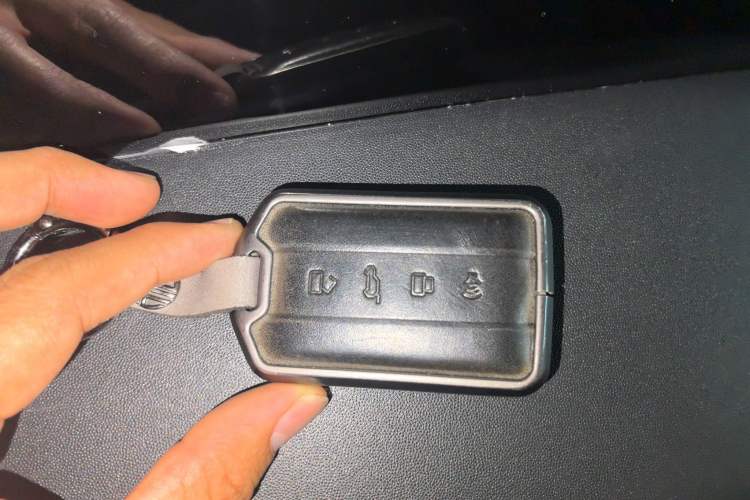 Used Tank 300 2021 Off-Road Edition 2.0T Challenger