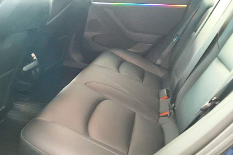 Used Tesla Model 3 2021 Standard Range Rear-Drive Upgraded Version Left Rear Seat