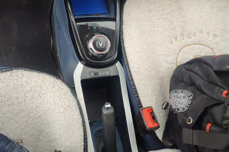 Used CHANGAN Benni E-Star 2021 National Edition Colorful Version Lithium Iron Phosphate (31.86 kWh)
