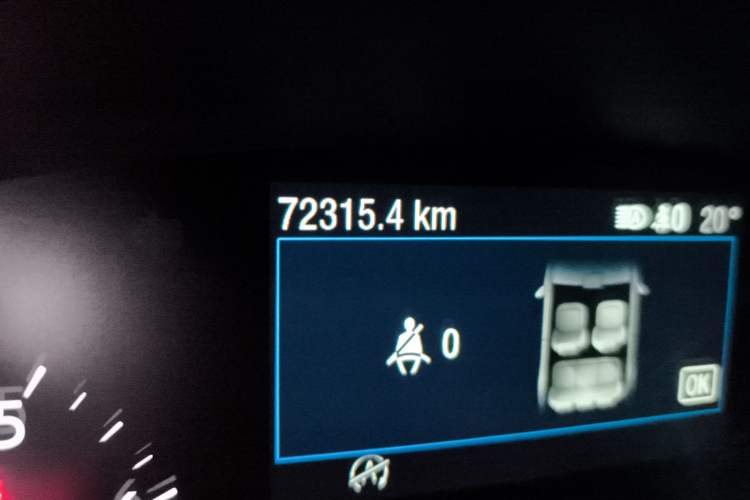 Used Ford Focus 2019 Hatchback EcoBoost 180 Automatic ST Line
