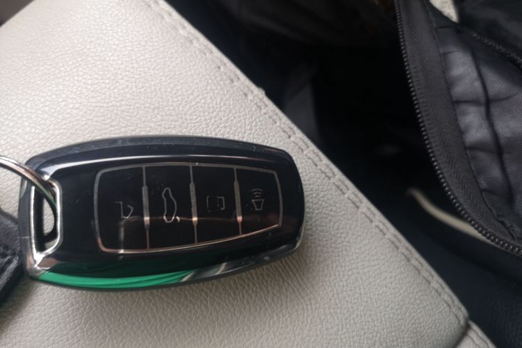 Used ORA White Cat 2020 305 km Luxury Version
