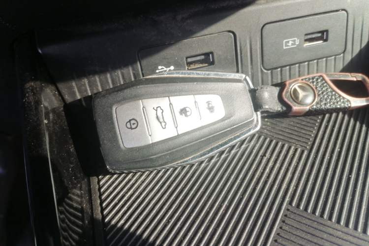 Used Geometry E Firefly 2022 320KM Cute Tiger 4-Seater