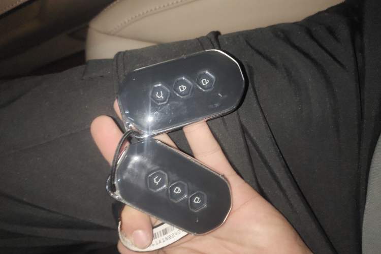 Used Wuling Victory 2023 2.0L DHT Deluxe Edition
