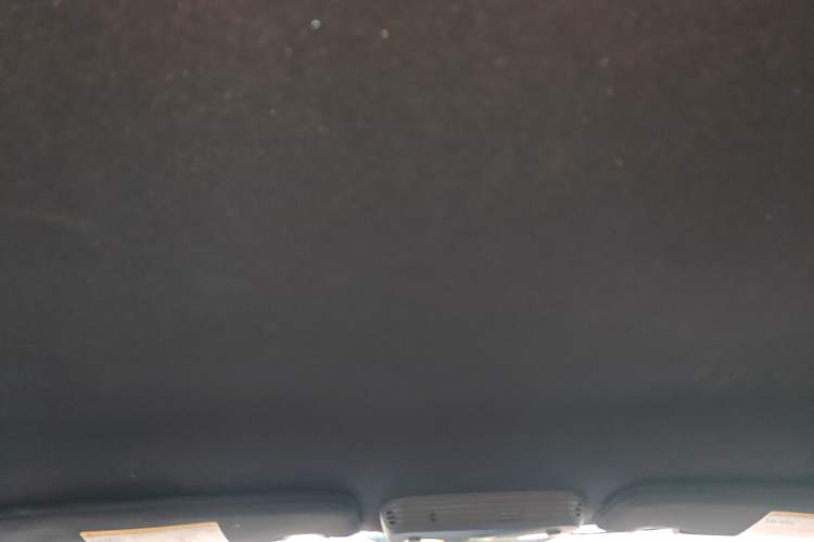 Used Ford Mustang  Headliner