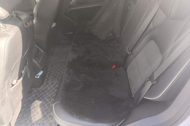 Used Haval H6 2021 National Trend Edition 1.5T Automatic Champion Version
