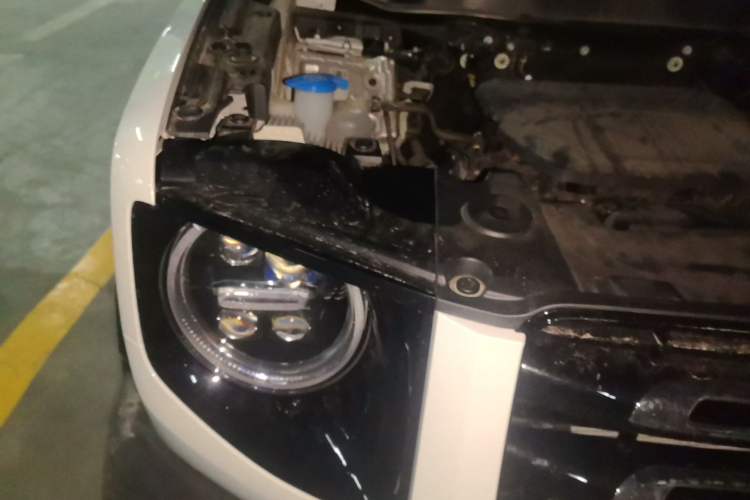 Used Haval DARGO 2022 1.5T DCT Two-Wheel Drive Mastiff Edition