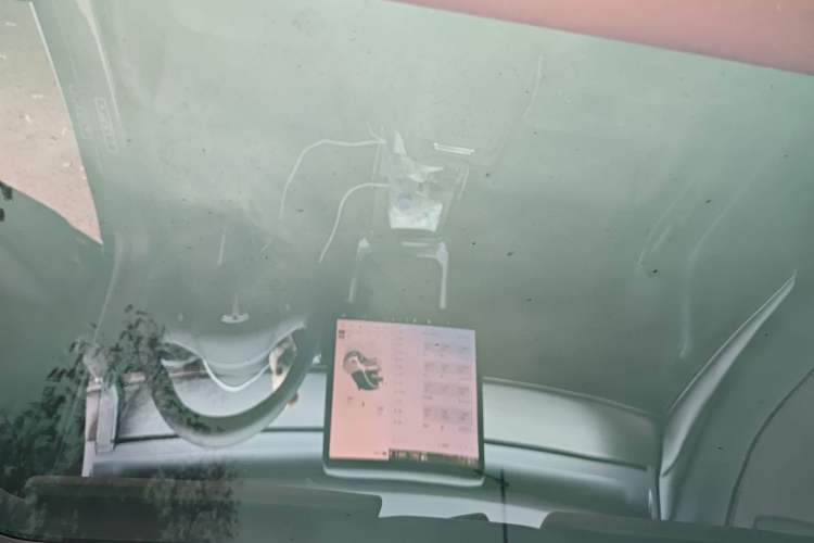 Used Tesla Model 3 2022 Rear-Wheel-Drive Version Headliner