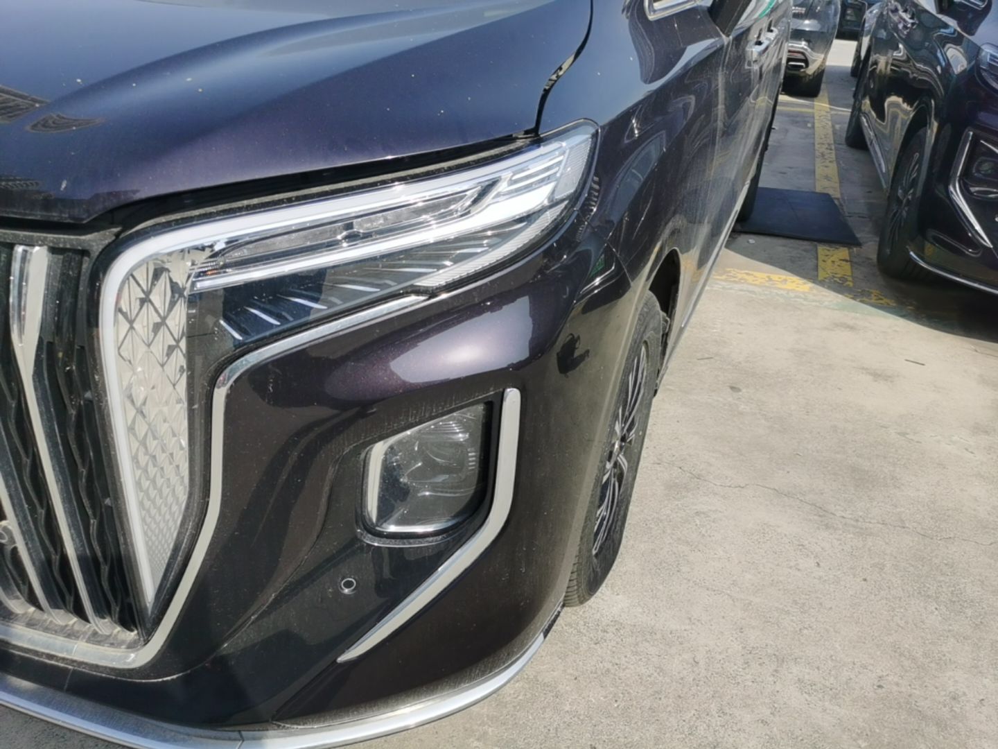 Hongqi HQ9 PHEV 2024 2.0T Four-Wheel Drive Business Edition — снимка 8
