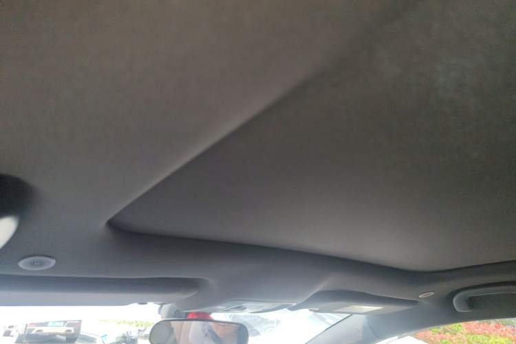 Used BYD Dolphin 2023 420 km Fashion Edition Headliner