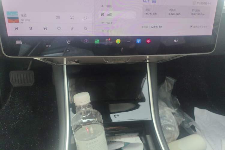 Used Tesla Model 3 2020 Revised Version Standard Range Rear-Wheel Drive – Upgraded Edition
