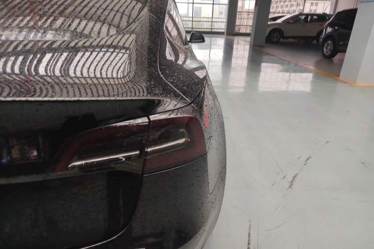 Used Tesla Model 3 2021 Revised Version Standard Range Rear-Wheel Drive Upgraded Edition 3D1