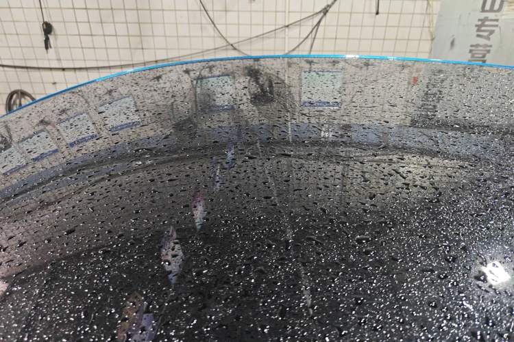 Used BYD Dolphin 2021 405 km Fashion Edition
