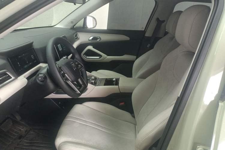 Used BYD Yuan UP 2024 301KM Leading Edition Left Front Seat