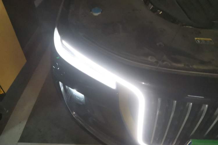 Used Hongqi H9 2020 2.0T Smart Connect Flagship Edition