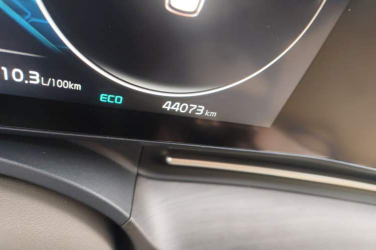 Used Kia Carnival 2021 2.0T Luxury Premium Model
