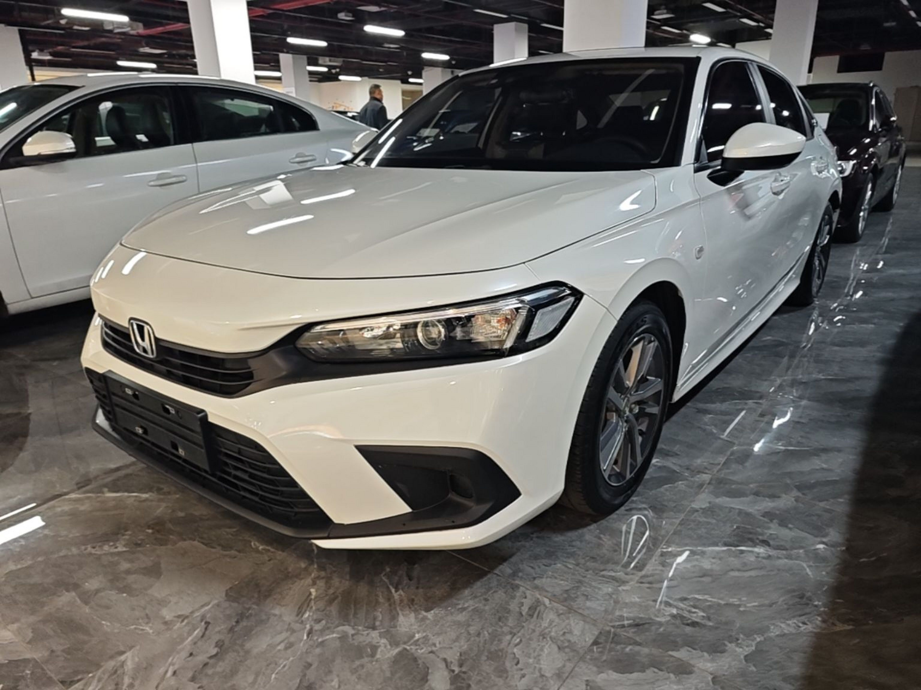 Parte inferior delantera