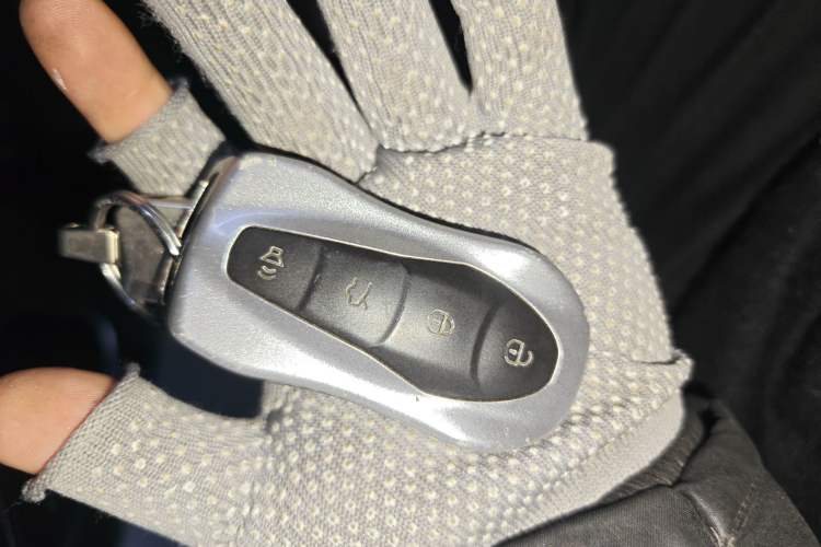 Used Geely Auto Monjaro S 2021 2.0TD DCT Two-Wheel Drive Lightning Edition