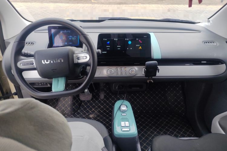 Used Qiyuan Lumin 2023 205km Xiangqin Version
