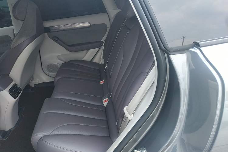 Used Leapmotor C11 2021 Executive Edition 510