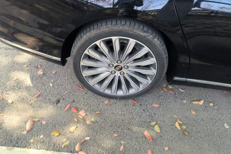 Used Hongqi H9 2020 2.0T Smart Connect Flagship Edition