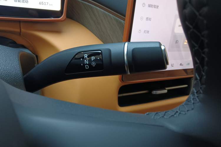 Used Wey Gaoshan 2025 Four-Wheel Drive Alpine 8
