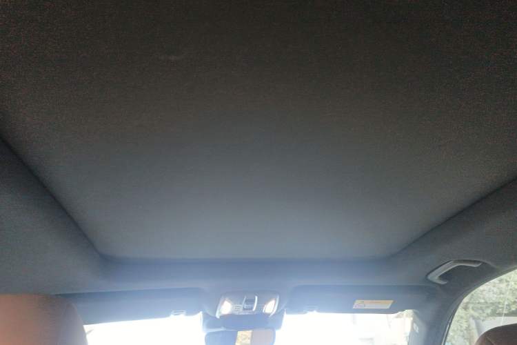 Used GAC Trumpchi GS8 2024 Linghang Series 2.0 TGDI Two-Wheel Drive Luxury Smart Connectivity Version
