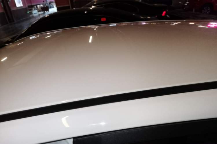 Used NETA V 2021 Standard Range Entertainment Edition
