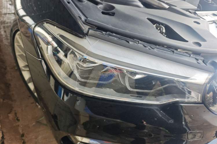 Used BMW 5 Series New Energy 2019 530Le Luxury Package
