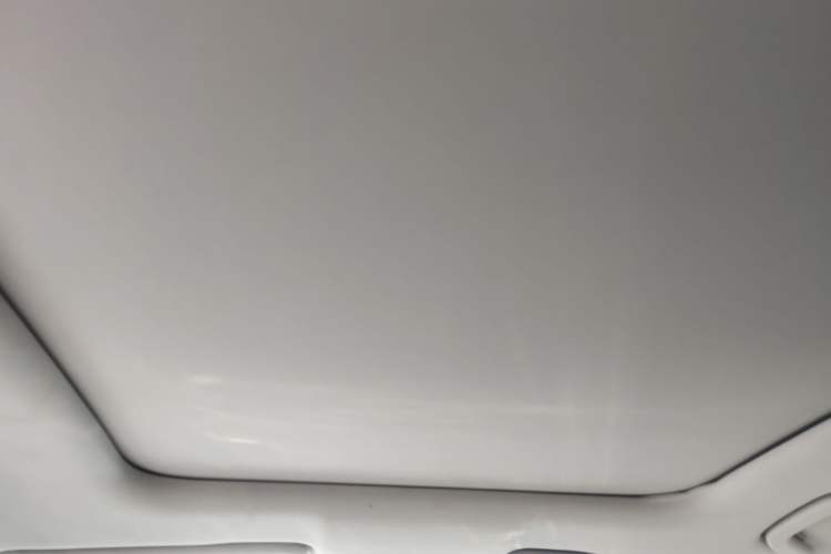 Used Leapmotor C11 2021 Deluxe Edition Headliner