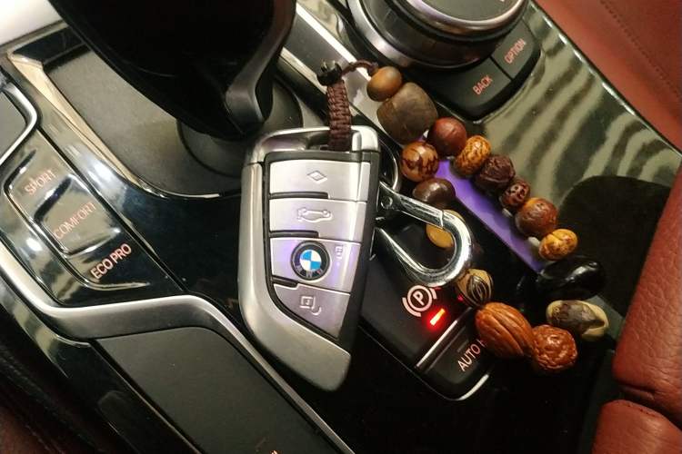 Used BMW 5 Series 2019 530Li Leading Model M Sport Package