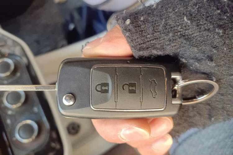 Used FORTHING Lingzhi 2024 M5L 1.5T Manual Base Model 7 Seats