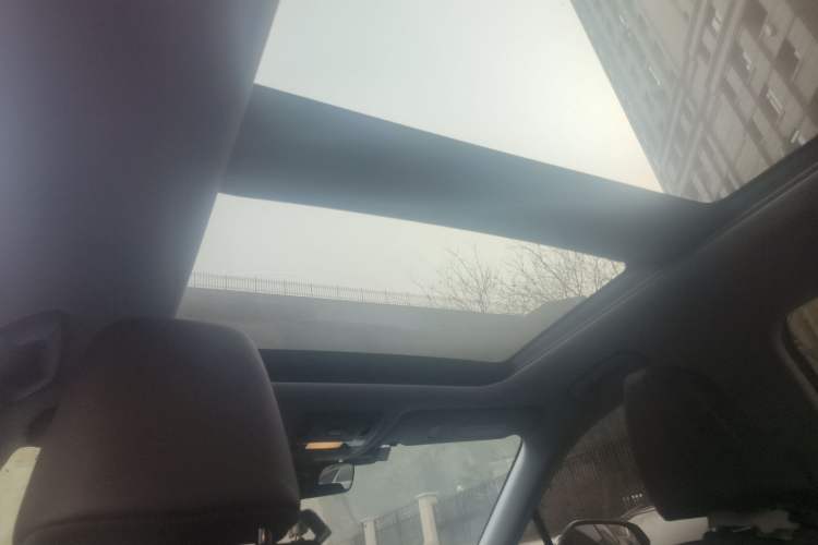 Used Lexus RX 2021 300 Four-Wheel Drive Special Edition