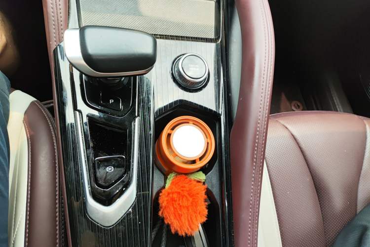 Used Geely Auto Monjaro L 2024 2.0TD High-Power Automatic Two-Wheel Drive Yunqi Version Gear Lever