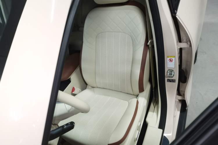 Used ORA Good Cat 2022 Morandi Edition 400km Standard Range Premium Version Lithium-Ion Battery
