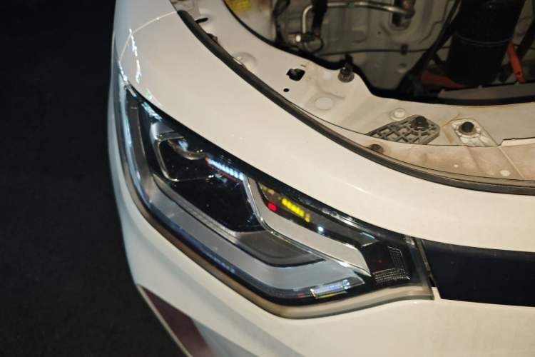 Used SOL E10X 2022 Flower Fairy Design Four-Leaf Clover Right Front Headlight