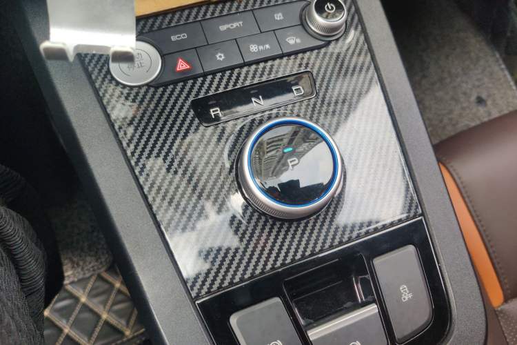 Used BYD e2 2021 Luxury Model Gear Lever