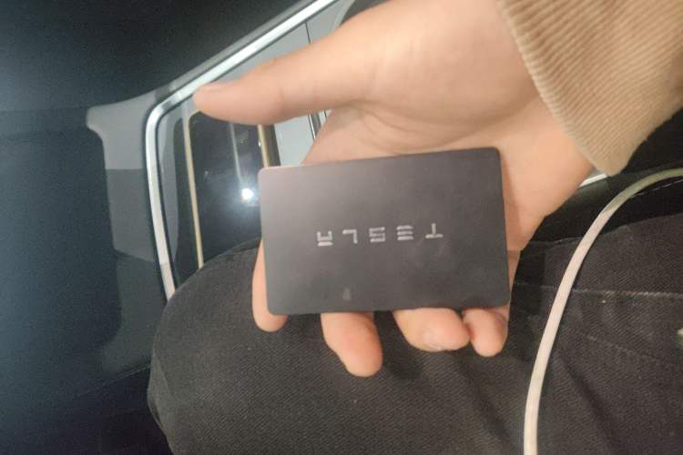 Used Tesla Model Y 2022 Rear-Wheel-Drive Version