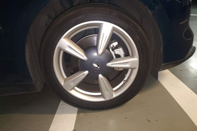 Used ORA Good Cat 2022 Morandi Edition 400km Standard Range Premium Version Lithium Iron Phosphate
